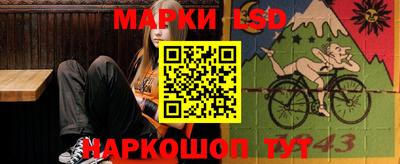 шишки Лесосибирск