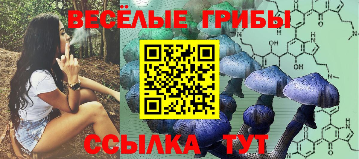Псилоцибиновые грибы MAGIC MUSHROOMS Воткинск