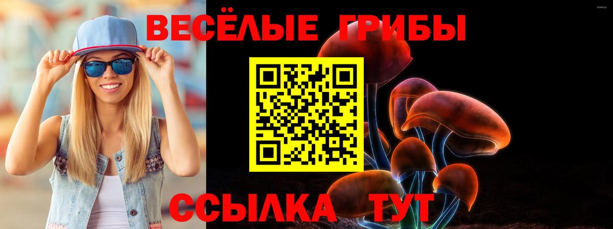 Воткинск  Псилоцибиновые грибы Psilocybine cubensis  Вход с VPN 